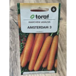 Marchew jadalna Amsterdam 3 Marchew jadalna Amsterdam 3
